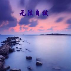 无法自拔 (DJ版)