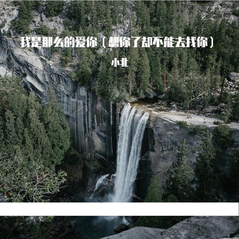 我是那么的爱你(想你了却不能去找你)封面