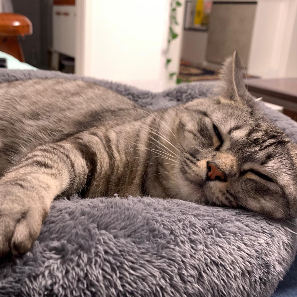 Linda Lee の Aida Wang