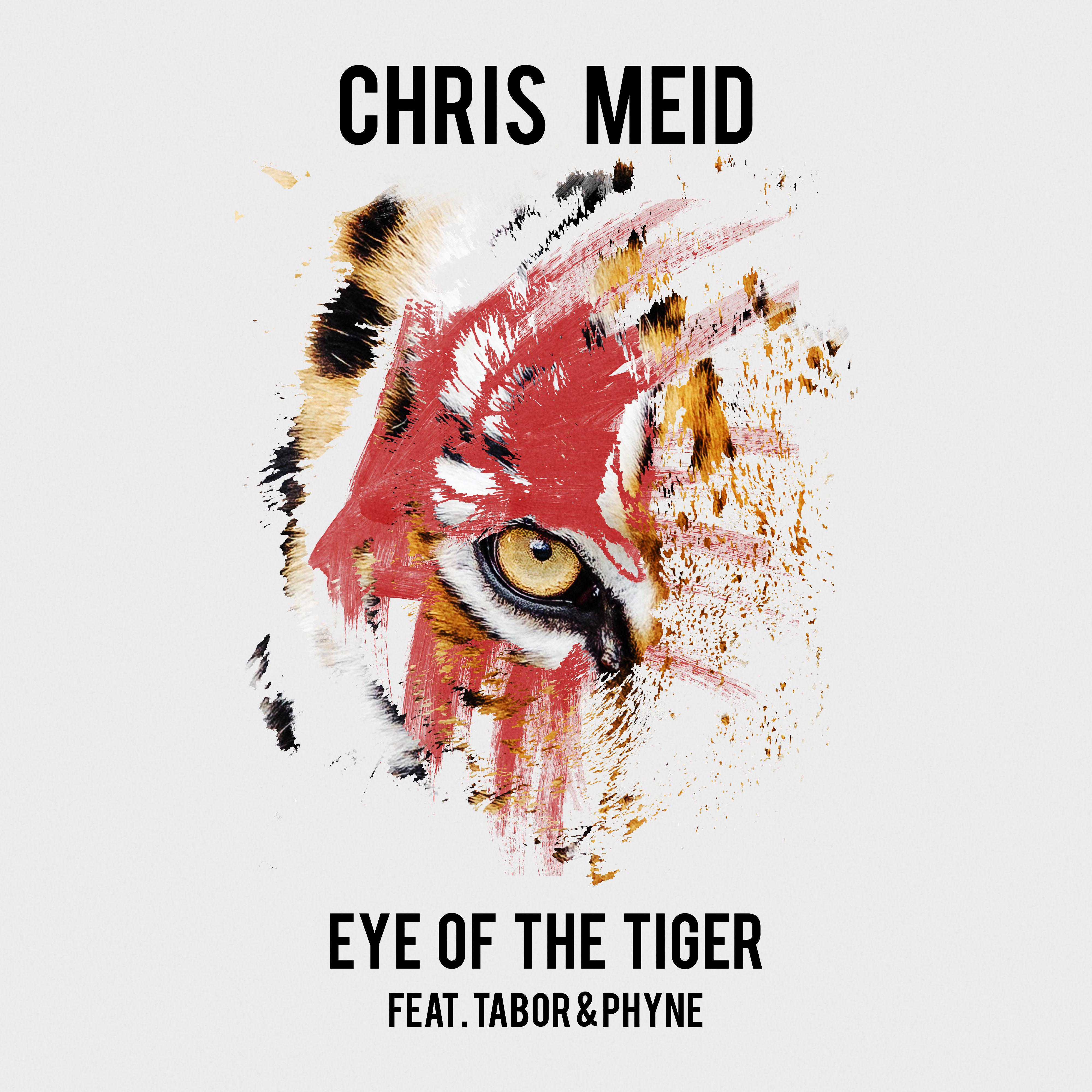 eye of the tiger,eye of the tiger 钢琴 eye of the tiger