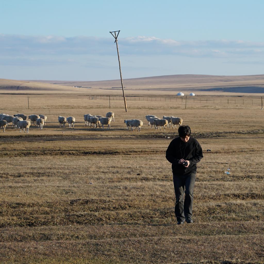 月亮酿酒念二手的诗