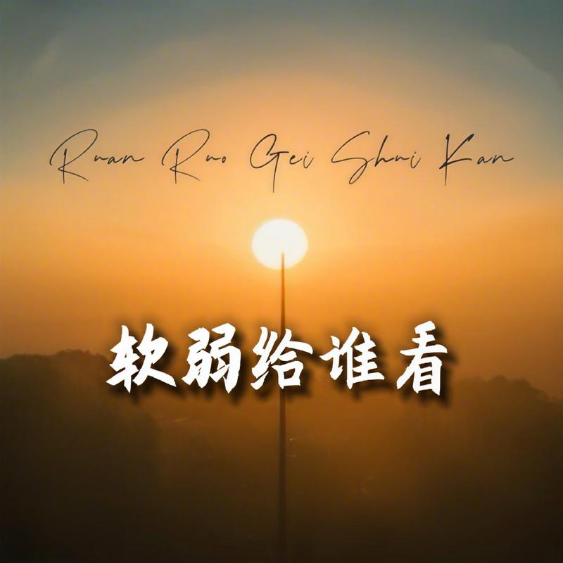 软弱给谁看 (伴奏) - 黄文文封面