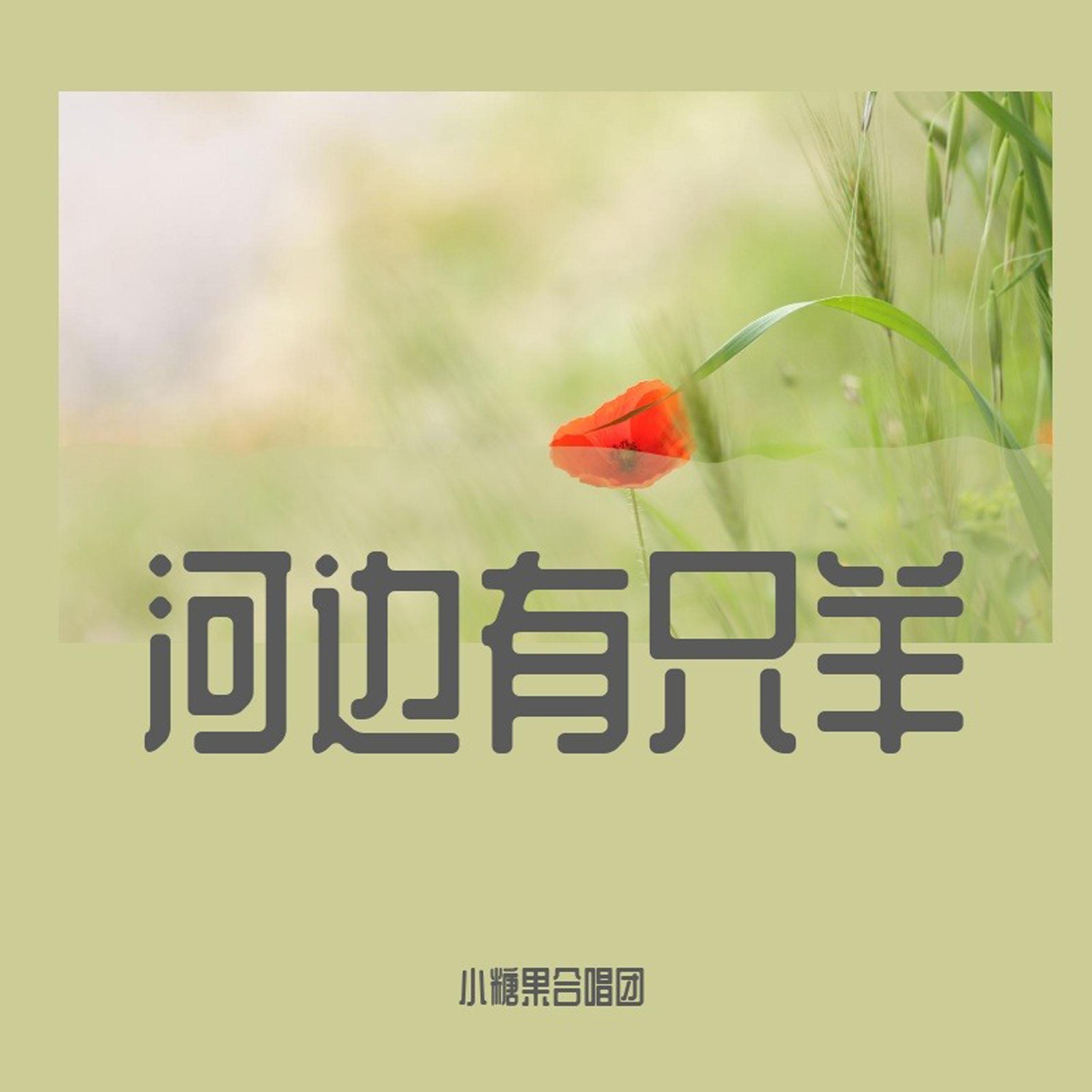 落大雨封面