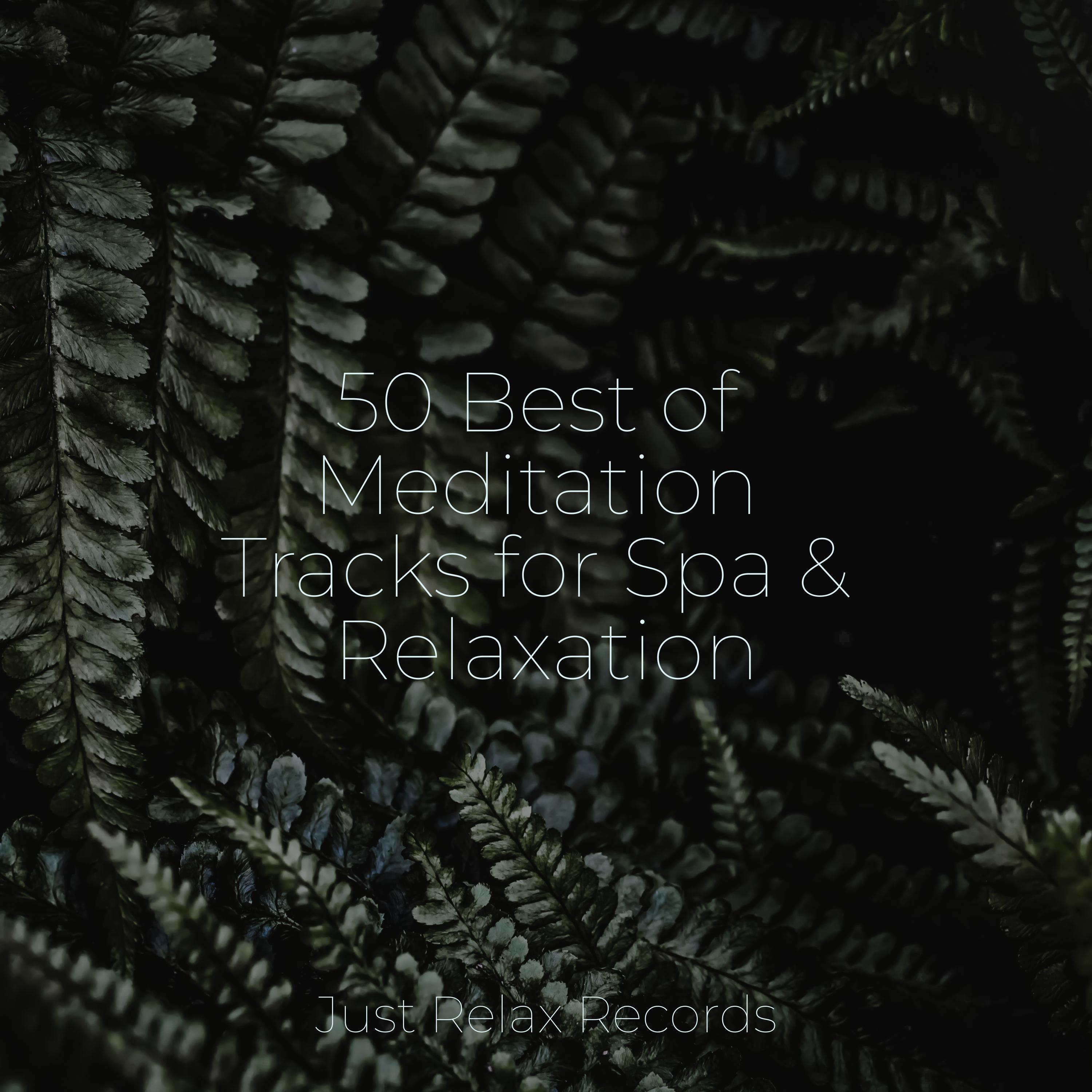50 Best of Meditation Tracks for Spa & Relaxation Chakra Balancing