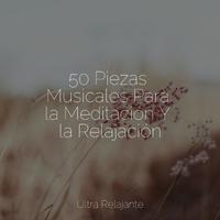 50 Piezas Musicales Para la Meditación Y la Relajación