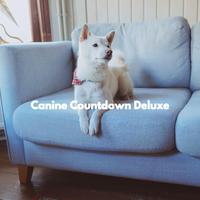 Canine Countdown Deluxe