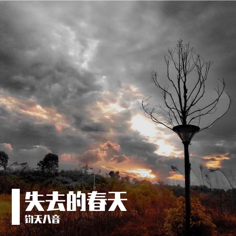 失去的春天封面