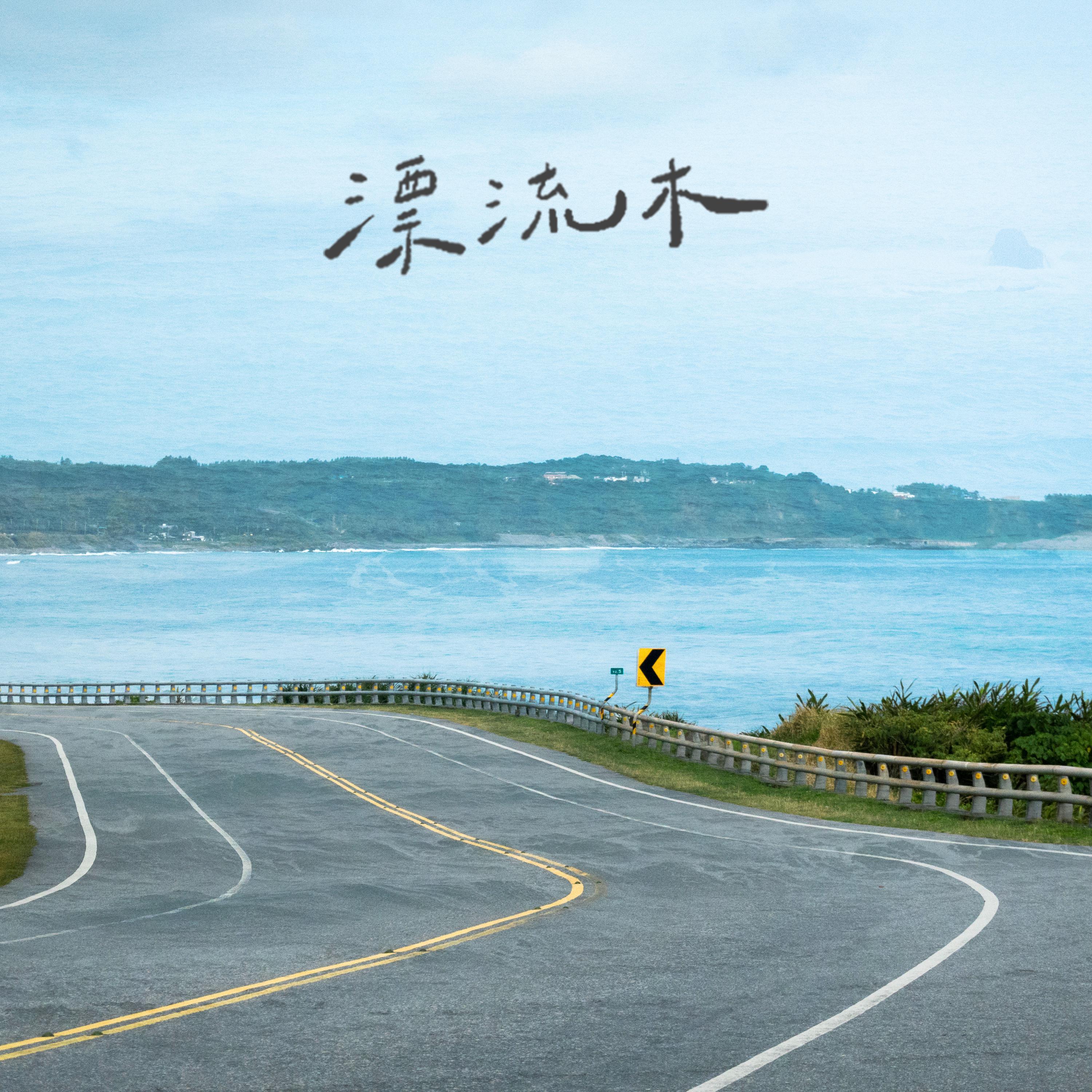 漂流木封面