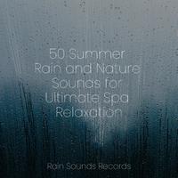 50 Summer Rain and Nature Sounds for Ultimate Spa Relaxation