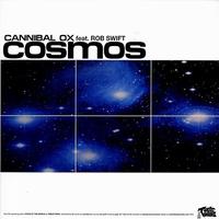 Cosmos / Streets Be Testin' You