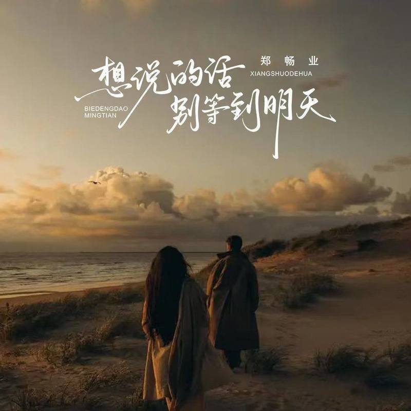 想说的话别等到明天 (Live合唱版)封面