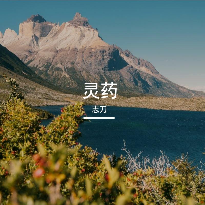 灵药封面