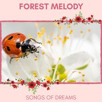 Forest Melody - Songs of Dreams