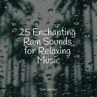 25 Enchanting Rain Sounds for Relaxing Music