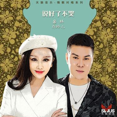 说好了不哭 (DJ版伴奏)封面