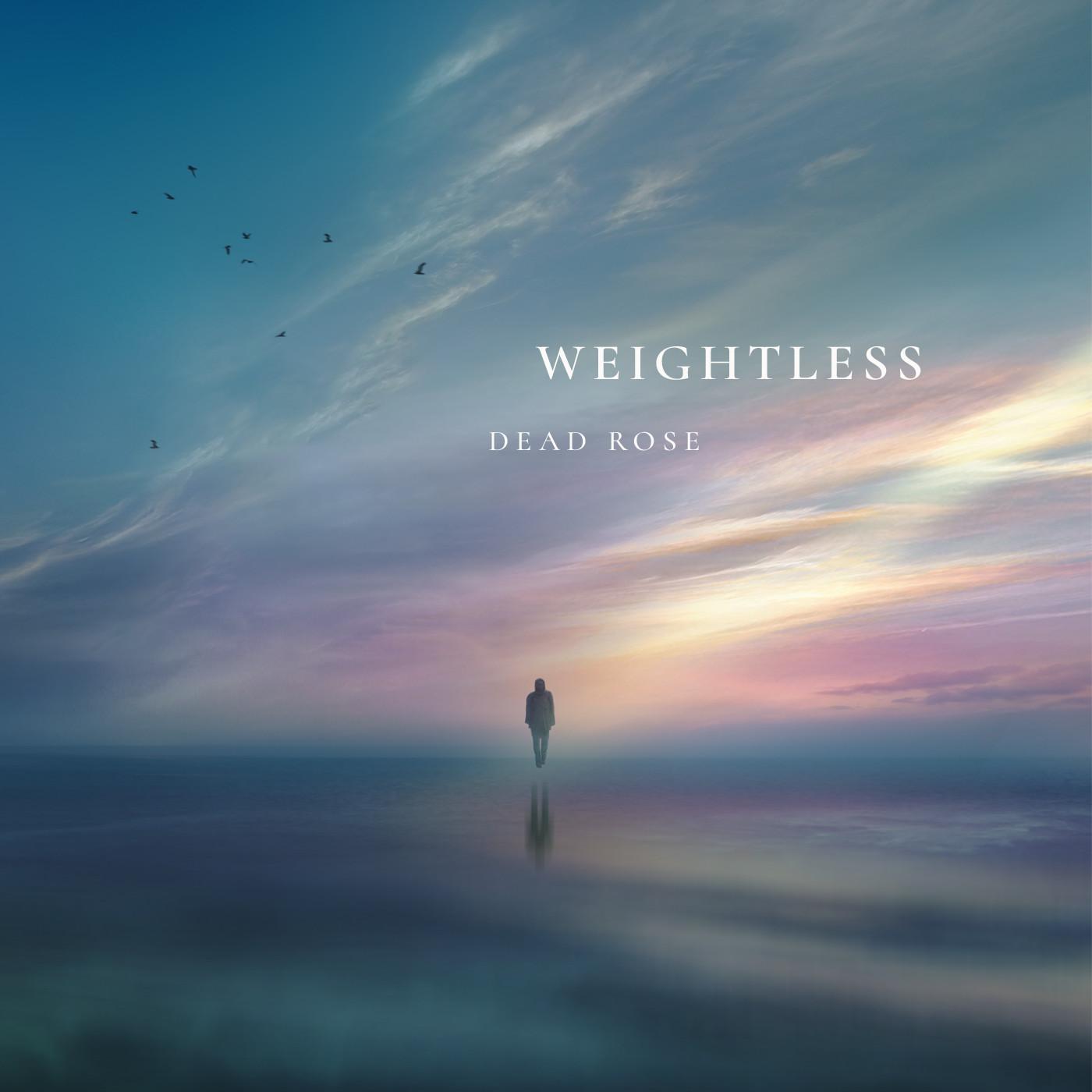 All I Need_Dead Rose_Weightless | 在线播放_All I Need歌词_All I Need下载 | 网易云音乐