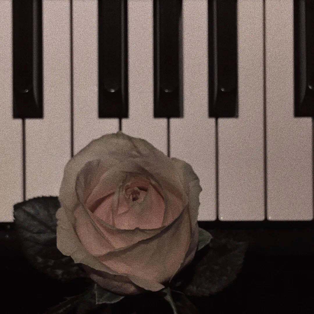 听说爱情回来过