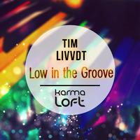 Low In The Groove