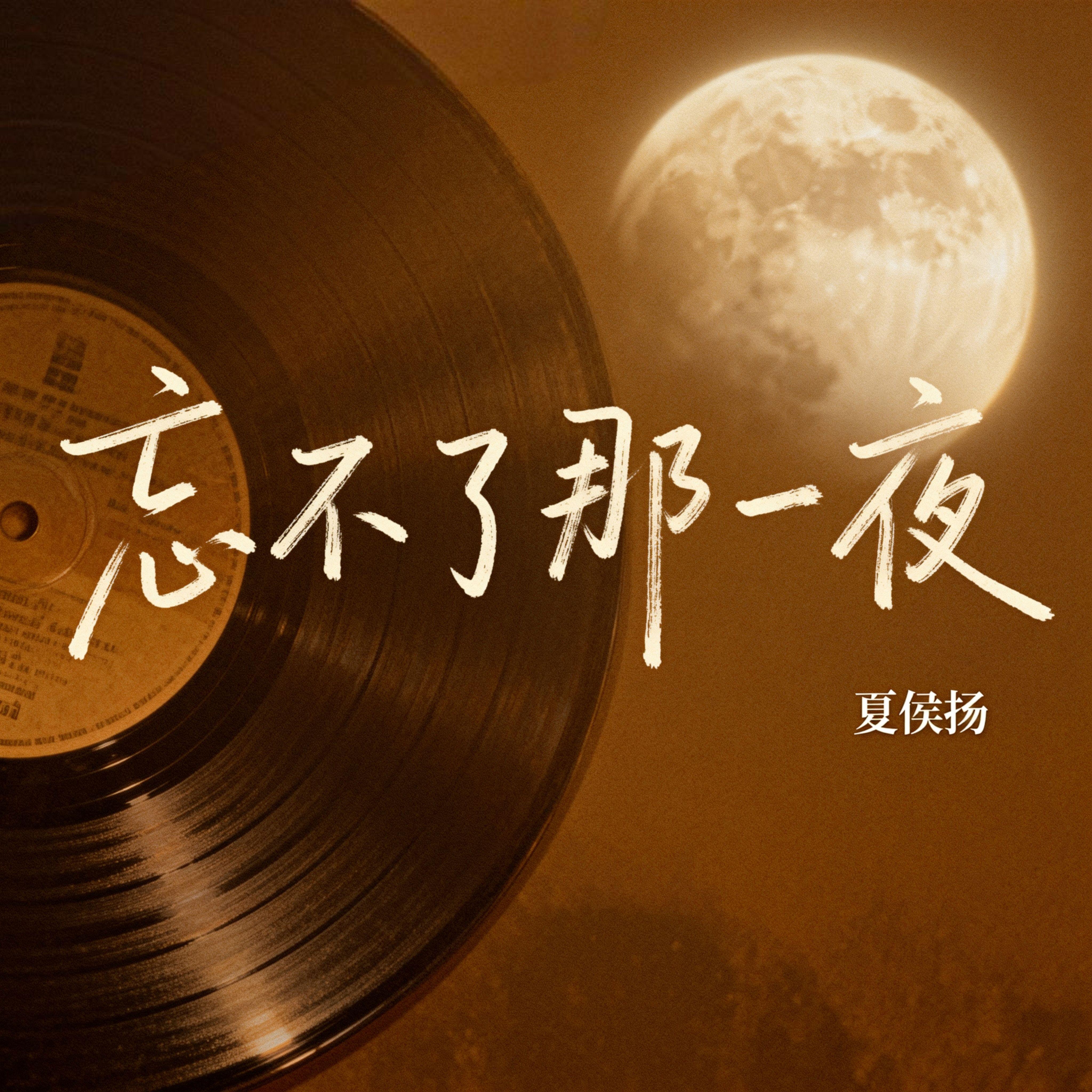 忘不了那一夜 伴奏封面