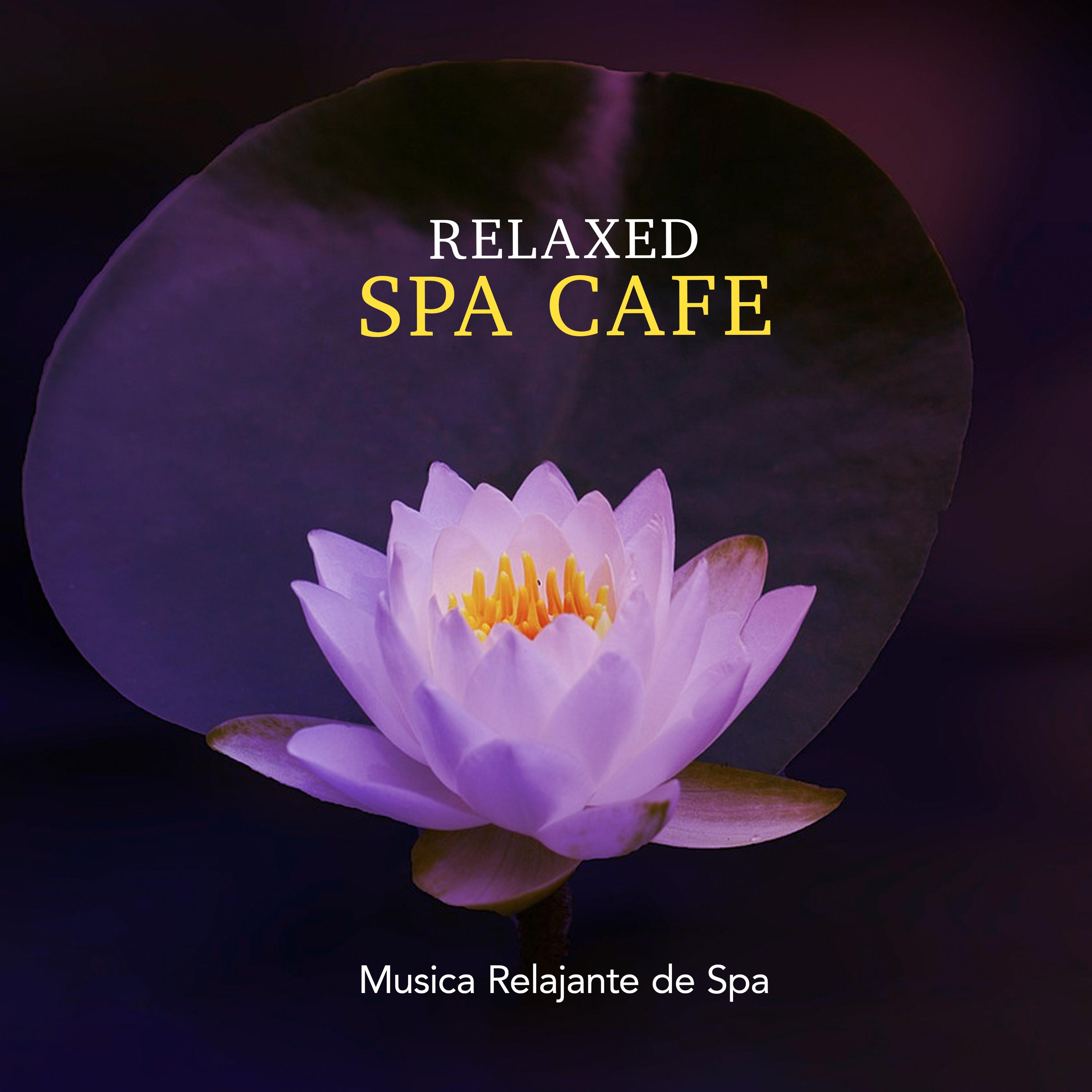 Campo Hills_Musica Relajante de Spa_Relaxed Spa Cafe | 在线播放_Campo Hills歌词_Campo Hills下载 | 网易云音乐