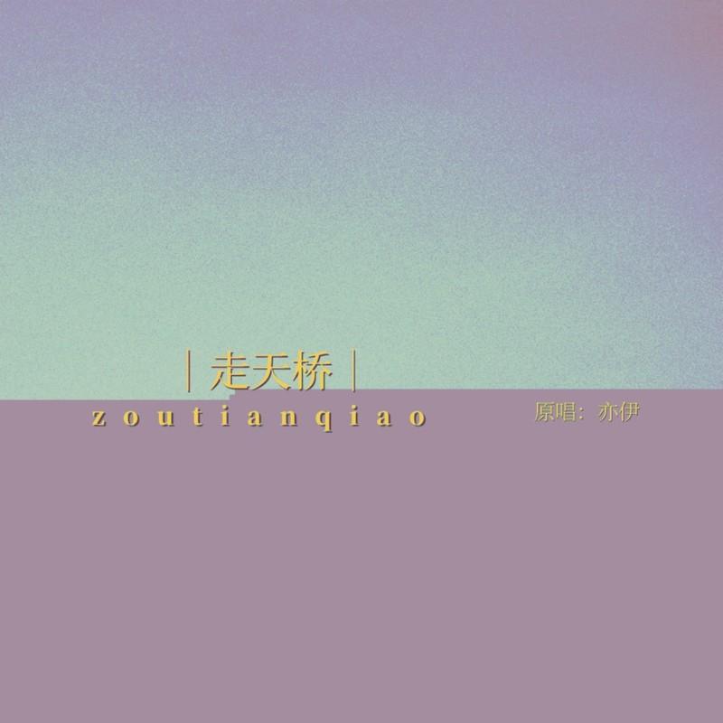 走天桥 (DJ阿卓版)封面