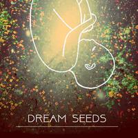 Dream Seeds