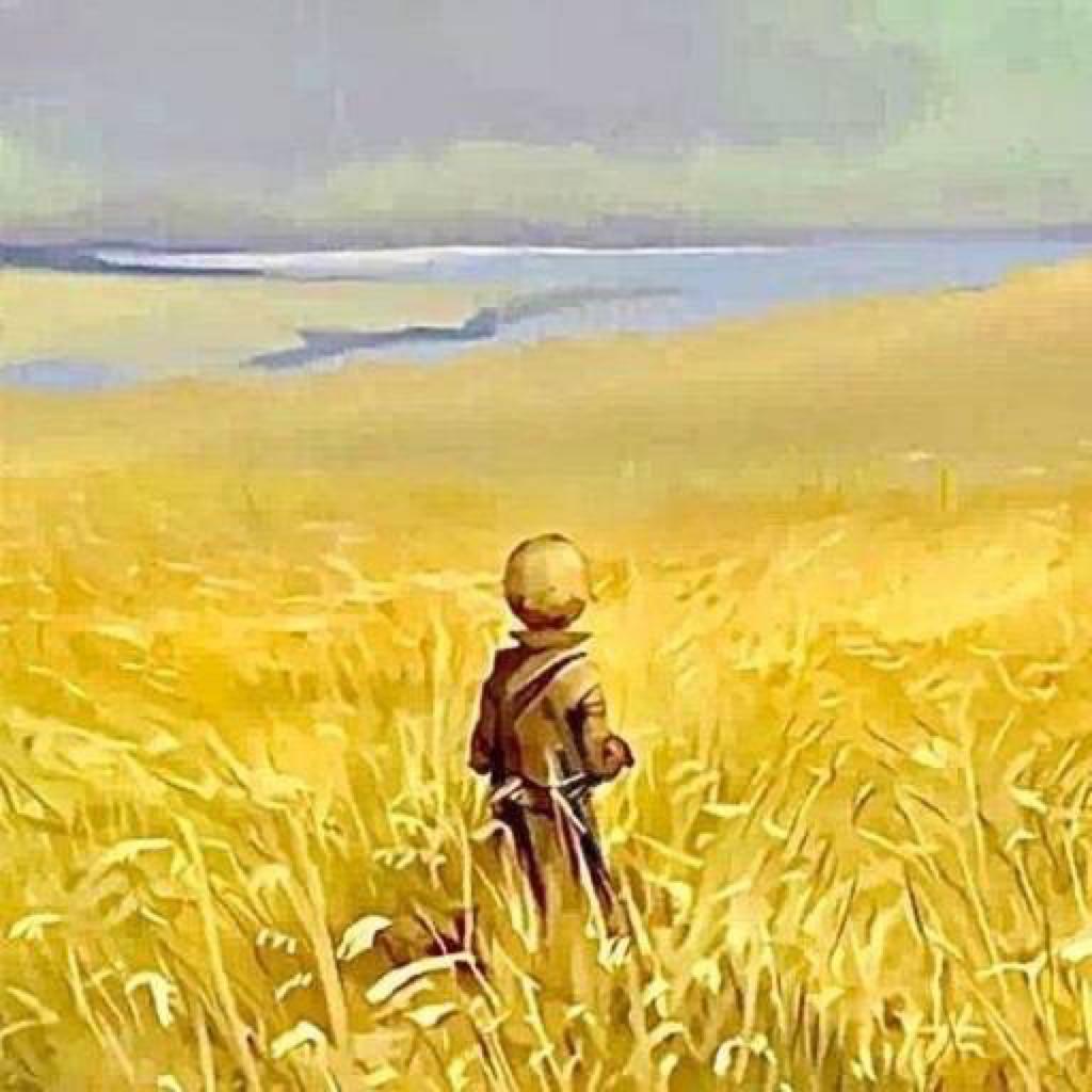 『种地吧』赵小童Vlog配乐