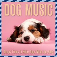 Dog Music: Sleepy Tones to Relax Dogs Mind and Body