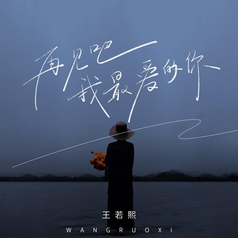 再见吧我最爱的你(DJ版) - 王若熙封面