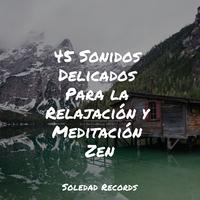 45 Sonidos Delicados Para la Relajación y Meditación Zen