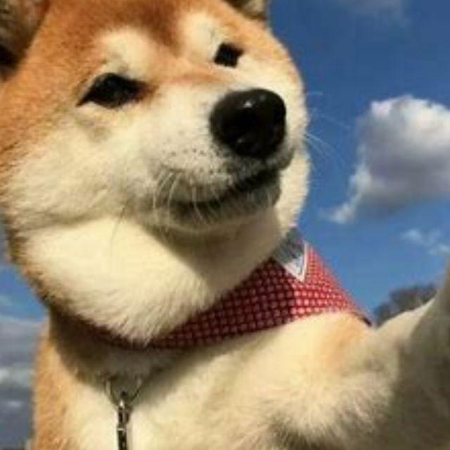 如剑封面