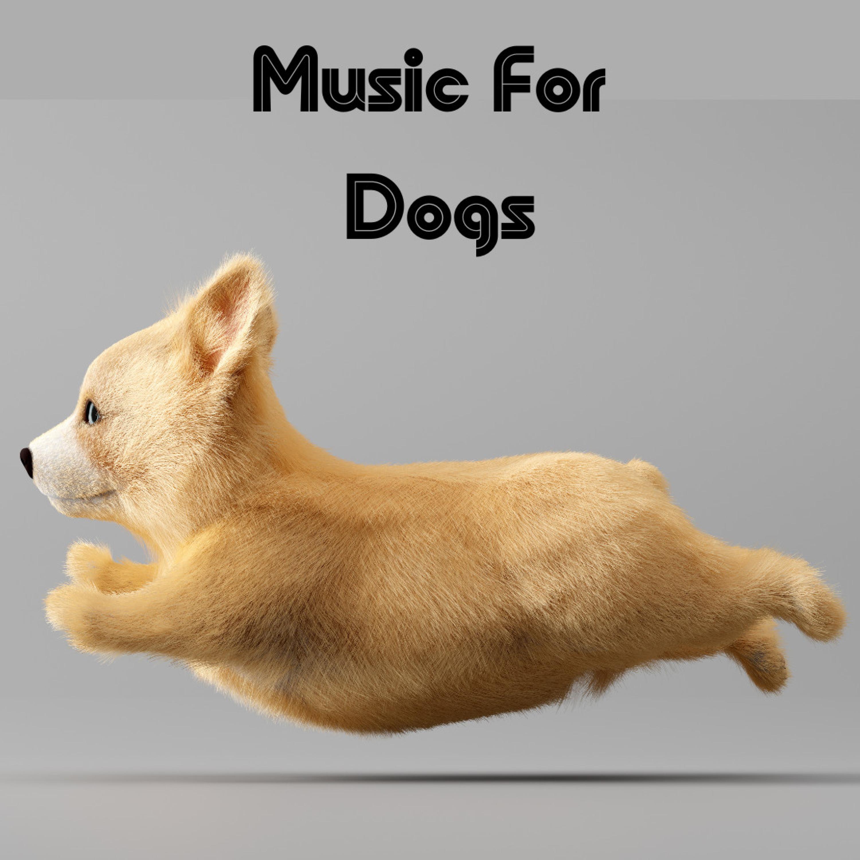 Music For Dogs