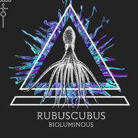 Rubuscubus