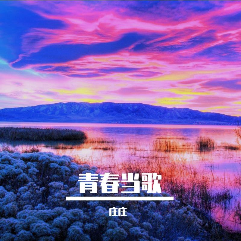 少年壮志封面