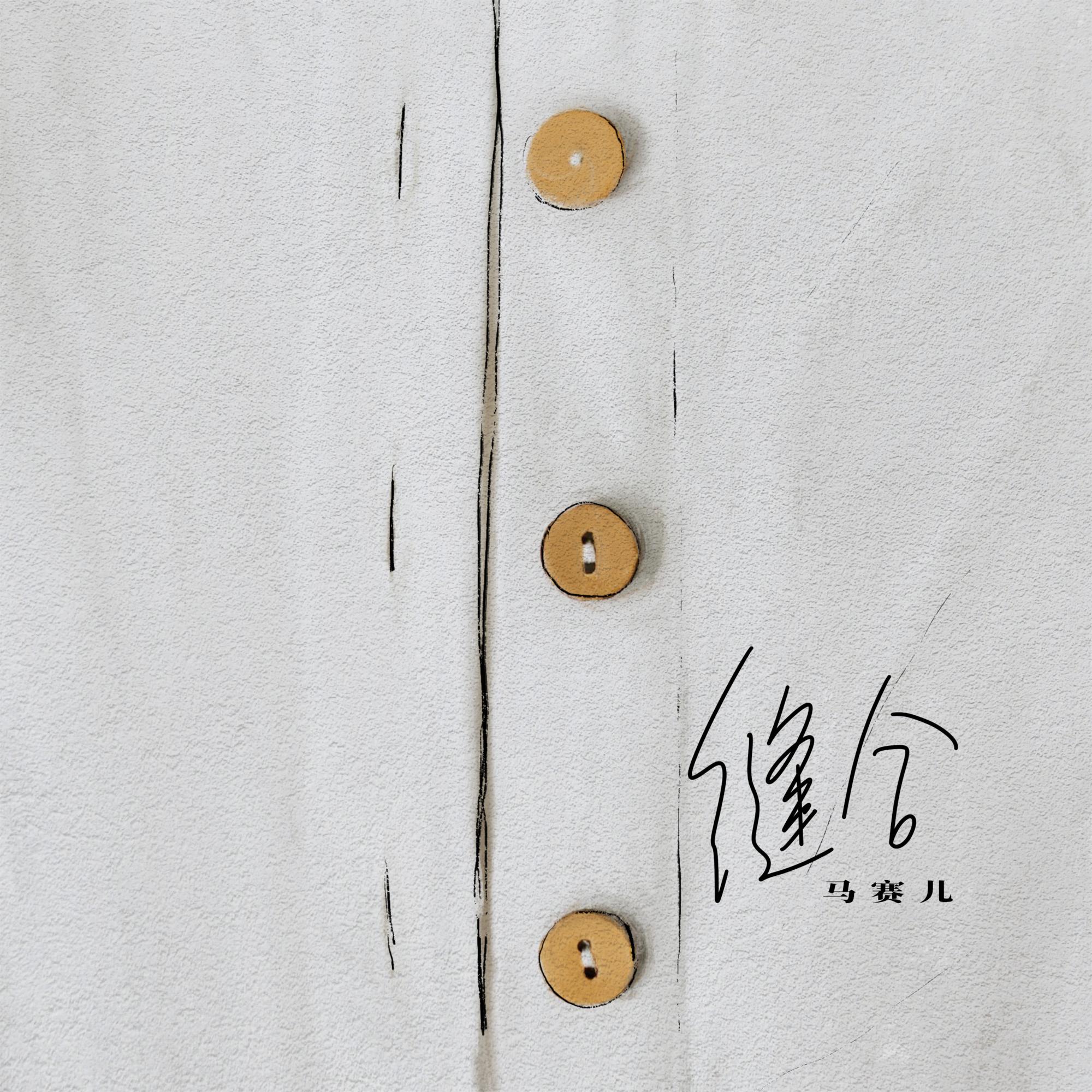 缝合（伴奏） - 马赛儿封面
