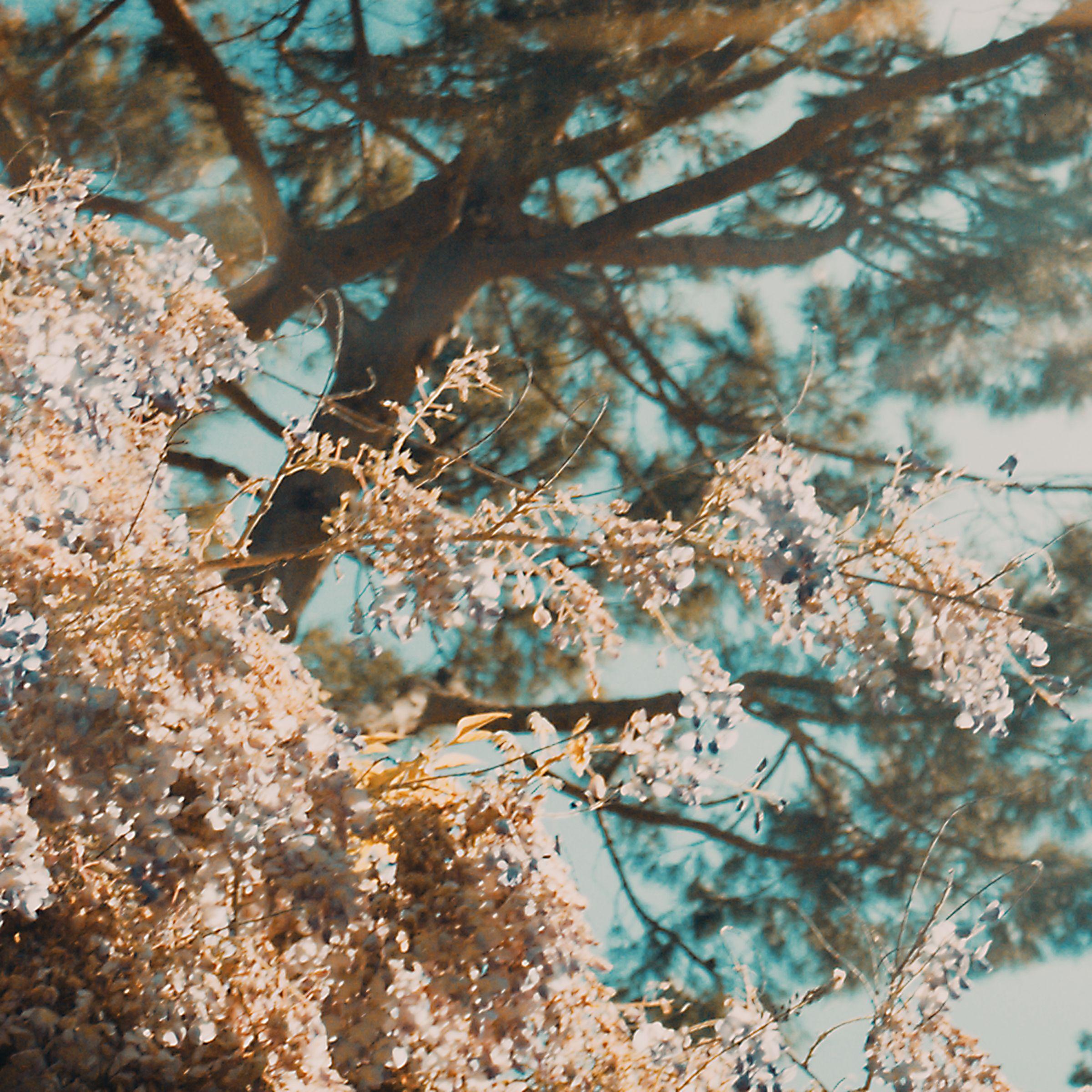 I'm Here_Rosemary & Garlic_I'm Here | 在线播放_I'm Here歌词_I'm Here下载 | 网易云音乐