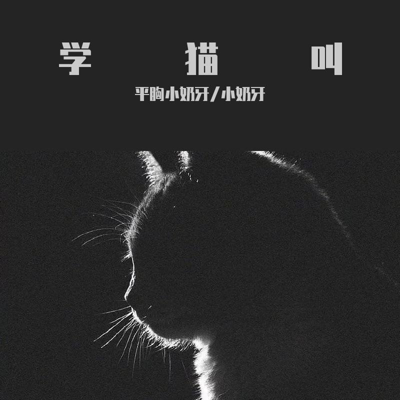 学猫叫