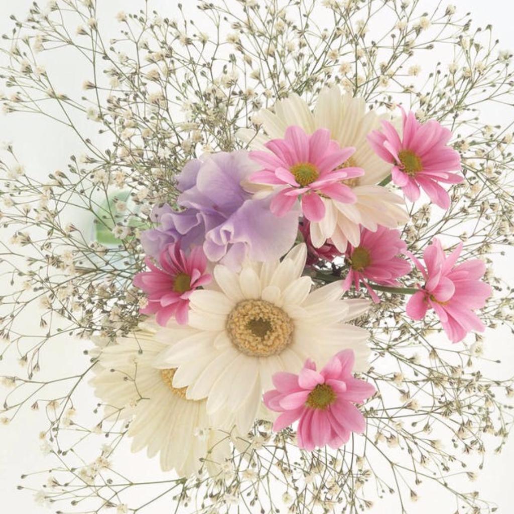 陈占美（Jimmy Chan）钢琴曲精选74首