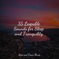 35 Loopable Sounds for Sleep and Tranquility