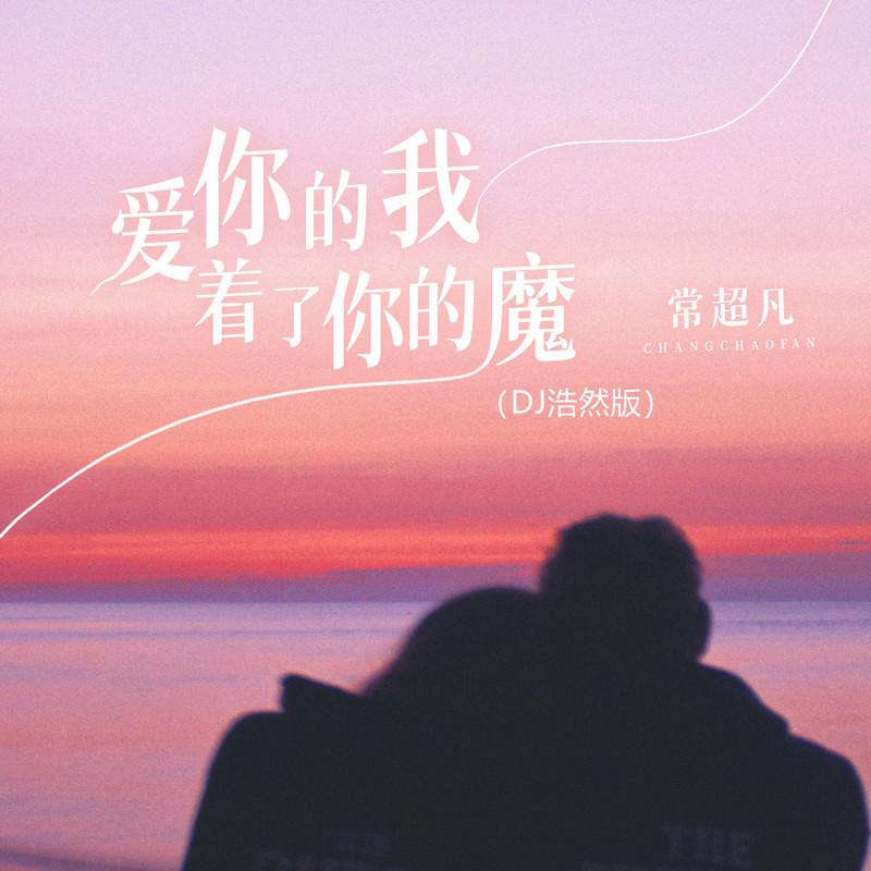 爱你的我着了你的魔 (DJ浩然版)封面