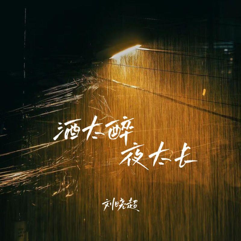 酒太醉夜太长 (DJ越鑫版)封面