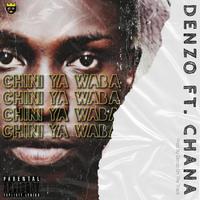 Chini Ya Waba (feat. Chana)