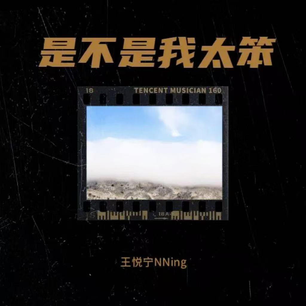 是不是我太笨封面