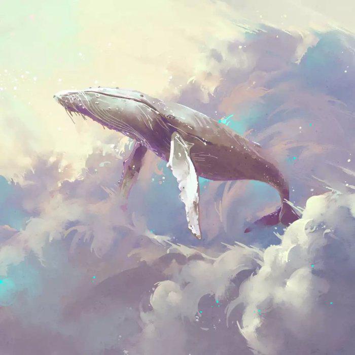 18520173860349145.jpg?size=700x700