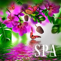 Spa (Musique instrumentale relaxante pour le massage, La méditation, Le sommeil)