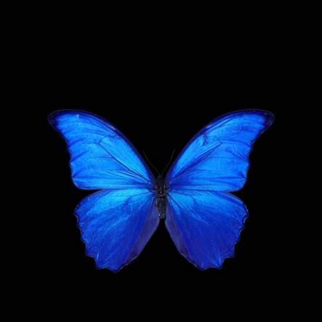 西 岸 美 術 館 歌 单