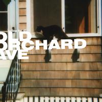 netBloc Vol. 45: Old Orchard Ave