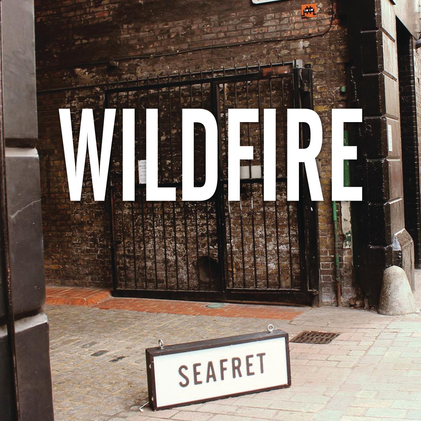 Wildfire_Seafret_Wildfire | 在线播放_Wildfire歌词_Wildfire下载 | 网易云音乐