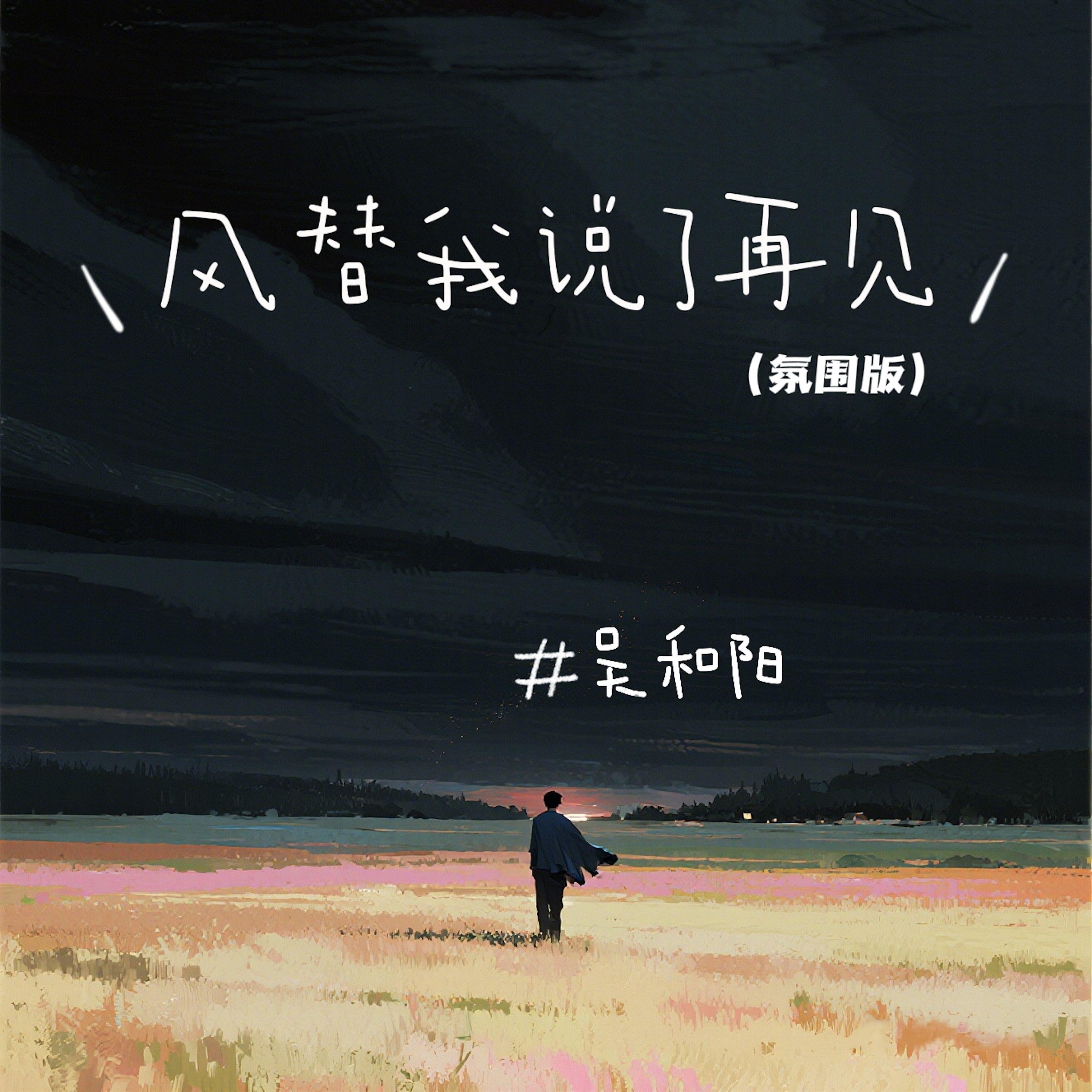 风替我说了再见封面