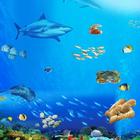 18924794137677447.jpg?param=140y140